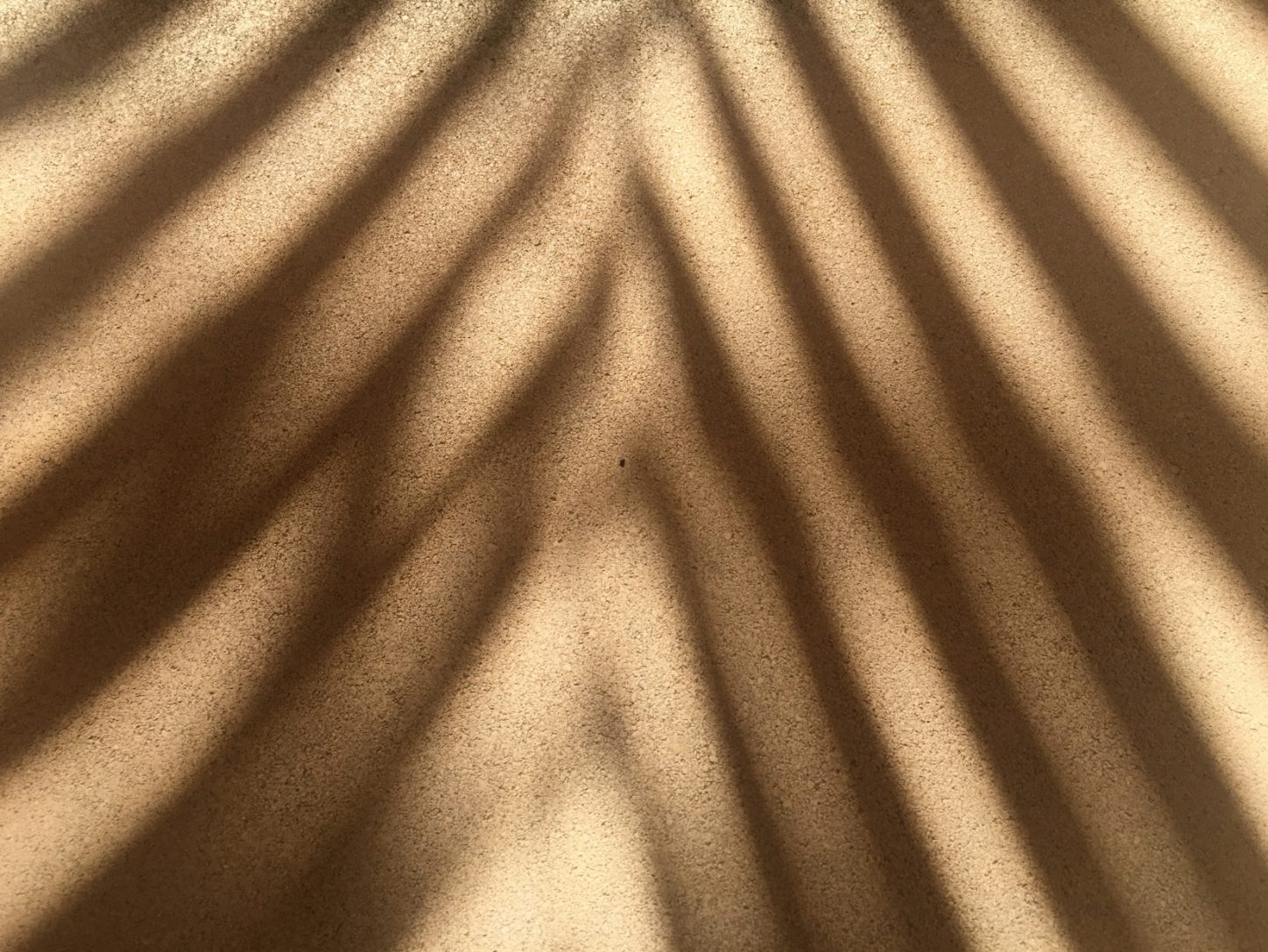 Der Schatten einer Pflanze, Symbolbild für die Dyed Yarns Kollektion 