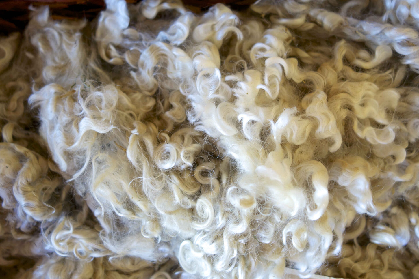 Cotton Cashmere – The Spin Off Yarn Shop