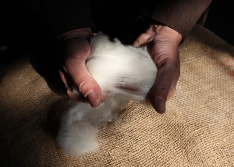 Sea island cotton yarn and other raw yarns Spoerry 1866